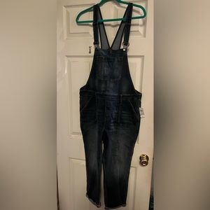 GAP 1969 denim overalls